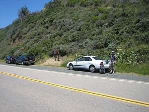 Silver Peak Cruick TH.